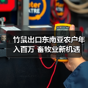 竹鼠出口东南亚农户年入百万 畜牧业新机遇(图2) 竹鼠出口东南亚农户年入百万 畜牧业新机遇(图2)