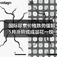 国际尿素价格跌势缓解 5月涨势或成昙花一现(图1) 国际尿素价格跌势缓解 5月涨势或成昙花一现(图1)