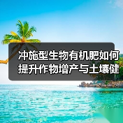 冲施型生物有机肥如何提升作物增产与土壤健康？