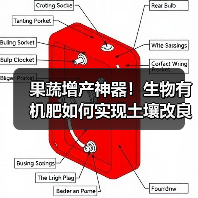 果蔬增产神器!生物有机肥如何实现土壤改良与高效种植?(图4) 果蔬增产神器!生物有机肥如何实现土壤改良与高效种植?(图4)