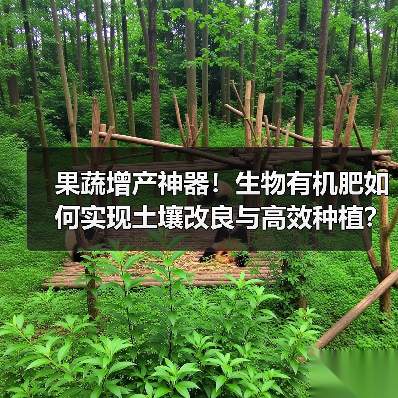 果蔬增产神器!生物有机肥如何实现土壤改良与高效种植?(图2) 果蔬增产神器!生物有机肥如何实现土壤改良与高效种植?(图2)