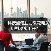 科技如何助力采花毛尖价格稳步上升？（图3）