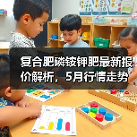 复合肥磷铵钾肥最新报价解析，5月行情走势如何？（图2）