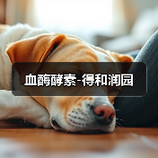 血酶酵素-得和润园(图1) 血酶酵素-得和润园(图1)