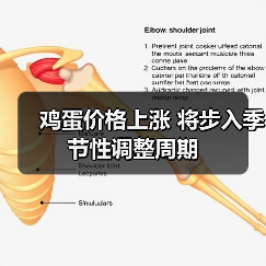 鸡蛋价格上涨 将步入季节性调整周期（图3）