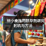 给小麦施用除草剂讲究时机与方法（图1）