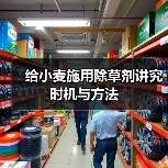 给小麦施用除草剂讲究时机与方法（图4）
