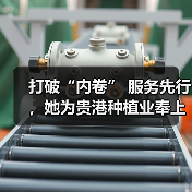 打破“内卷” 服务先行,她为贵港种植业奉上仟金良方(图4) 打破“内卷” 服务先行,她为贵港种植业奉上仟金良方(图4)