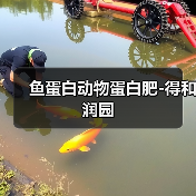 鱼蛋白动物蛋白肥-得和润园(图4) 鱼蛋白动物蛋白肥-得和润园(图4)
