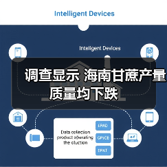 调查显示 海南甘蔗产量质量均下跌(图1) 调查显示 海南甘蔗产量质量均下跌(图1)