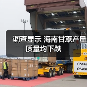 调查显示 海南甘蔗产量质量均下跌(图3) 调查显示 海南甘蔗产量质量均下跌(图3)