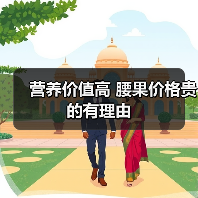 营养价值高 腰果价格贵的有理由(图2) 营养价值高 腰果价格贵的有理由(图2)
