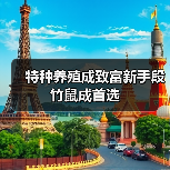 特种养殖成致富新手段 竹鼠成首选（图1）