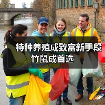 特种养殖成致富新手段 竹鼠成首选（图3）