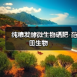 纯粮发酵微生物硒肥-葩田生物(图2) 纯粮发酵微生物硒肥-葩田生物(图2)