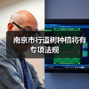 南京市行道树种植将有专项法规(图1) 南京市行道树种植将有专项法规(图1)