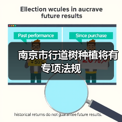 南京市行道树种植将有专项法规(图3) 南京市行道树种植将有专项法规(图3)