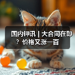 国内钾讯 | 大合同在即?价格又涨一百(图1) 国内钾讯 | 大合同在即?价格又涨一百(图1)