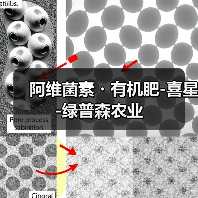 阿维菌素・有机肥-喜星-绿普森农业(图3) 阿维菌素・有机肥-喜星-绿普森农业(图3)