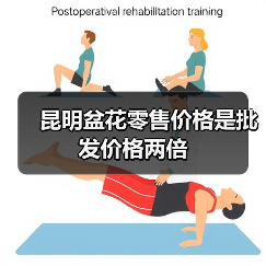 昆明盆花零售价格是批发价格两倍（图1）