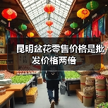 昆明盆花零售价格是批发价格两倍（图2）