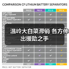 温岭大白菜滞销 各方伸出援助之手（图4）