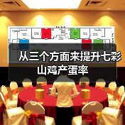 从三个方面来提升七彩山鸡产蛋率(图2) 从三个方面来提升七彩山鸡产蛋率(图2)