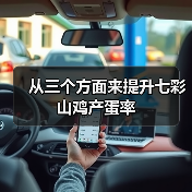 从三个方面来提升七彩山鸡产蛋率(图1) 从三个方面来提升七彩山鸡产蛋率(图1)