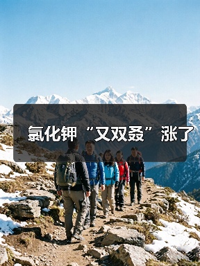 氯化钾“又双叒”涨了（图1）