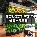 叶菜类蔬菜供应足 价格低受市民青睐(图2) 叶菜类蔬菜供应足 价格低受市民青睐(图2)
