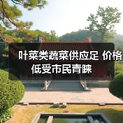 叶菜类蔬菜供应足 价格低受市民青睐(图3) 叶菜类蔬菜供应足 价格低受市民青睐(图3)
