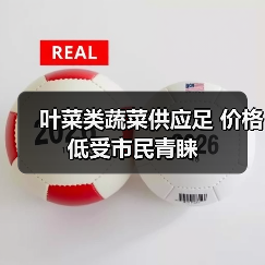 叶菜类蔬菜供应足 价格低受市民青睐(图4) 叶菜类蔬菜供应足 价格低受市民青睐(图4)