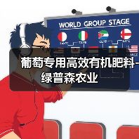 葡萄专用高效有机肥料-绿普森农业(图1) 葡萄专用高效有机肥料-绿普森农业(图1)
