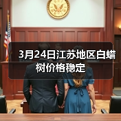3月24日江苏地区白蜡树价格稳定(图2) 3月24日江苏地区白蜡树价格稳定(图2)