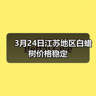 3月24日江苏地区白蜡树价格稳定(图3) 3月24日江苏地区白蜡树价格稳定(图3)