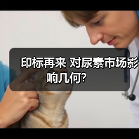 印标再来 对尿素市场影响几何?(图4) 印标再来 对尿素市场影响几何?(图4)