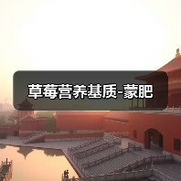 草莓营养基质-蒙肥(图2) 草莓营养基质-蒙肥(图2)