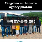 草莓营养基质-蒙肥(图3) 草莓营养基质-蒙肥(图3)
