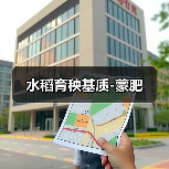 水稻育秧基质-蒙肥(图2) 水稻育秧基质-蒙肥(图2)