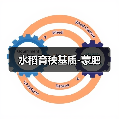 水稻育秧基质-蒙肥(图4) 水稻育秧基质-蒙肥(图4)