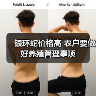 银环蛇价格高 农户要做好养殖管理事项（图3）