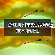 浙江湖州举办泥鳅养殖技术培训班(图1) 浙江湖州举办泥鳅养殖技术培训班(图1)
