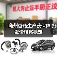 随州香菇生产获保障 批发价格将稳定(图1) 随州香菇生产获保障 批发价格将稳定(图1)