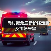 尚村獭兔最新价格走势及市场展望（图1）