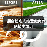 烟台残疾人接受獭兔养殖技术培训(图1) 烟台残疾人接受獭兔养殖技术培训(图1)