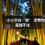 小小芝麻“倌” 浓香财富挡不住(图3) 小小芝麻“倌” 浓香财富挡不住(图3)