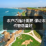 农户巧施叶面肥 保证农作物质量好(图2) 农户巧施叶面肥 保证农作物质量好(图2)