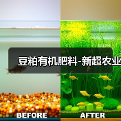 豆粕有机肥料-新超农业(图4) 豆粕有机肥料-新超农业(图4)