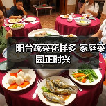 阳台蔬菜花样多 家庭菜园正时兴(图1) 阳台蔬菜花样多 家庭菜园正时兴(图1)