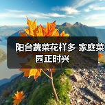 阳台蔬菜花样多 家庭菜园正时兴(图3) 阳台蔬菜花样多 家庭菜园正时兴(图3)
